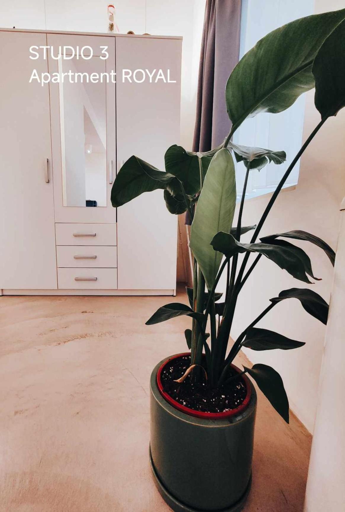 Pekarna Apartments Ljubljana Ngoại thất bức ảnh